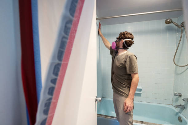 Dehumidification Services in Kana, UT