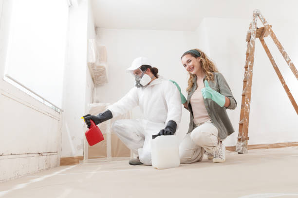 Best Mold Damage Restoration  in Kana, UT